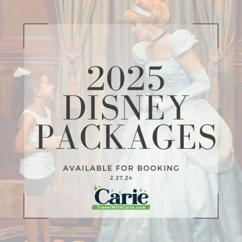 Travel with Carie Magical Planning - Disney 2025