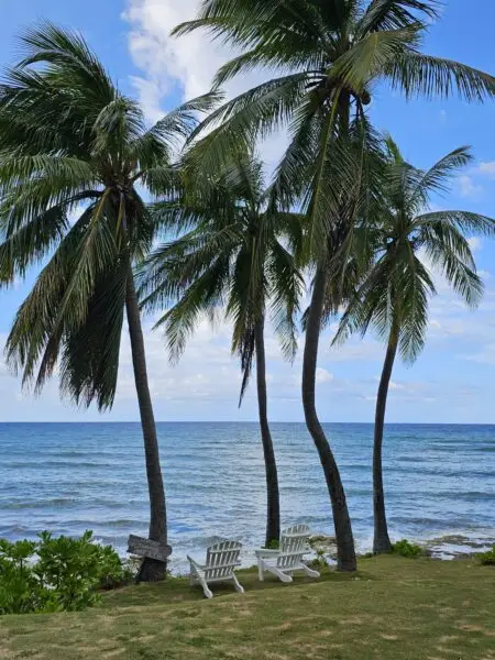 TWC_Jamacia_1_600x800