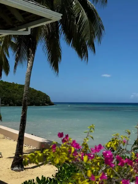 TWC_Jamacia_6