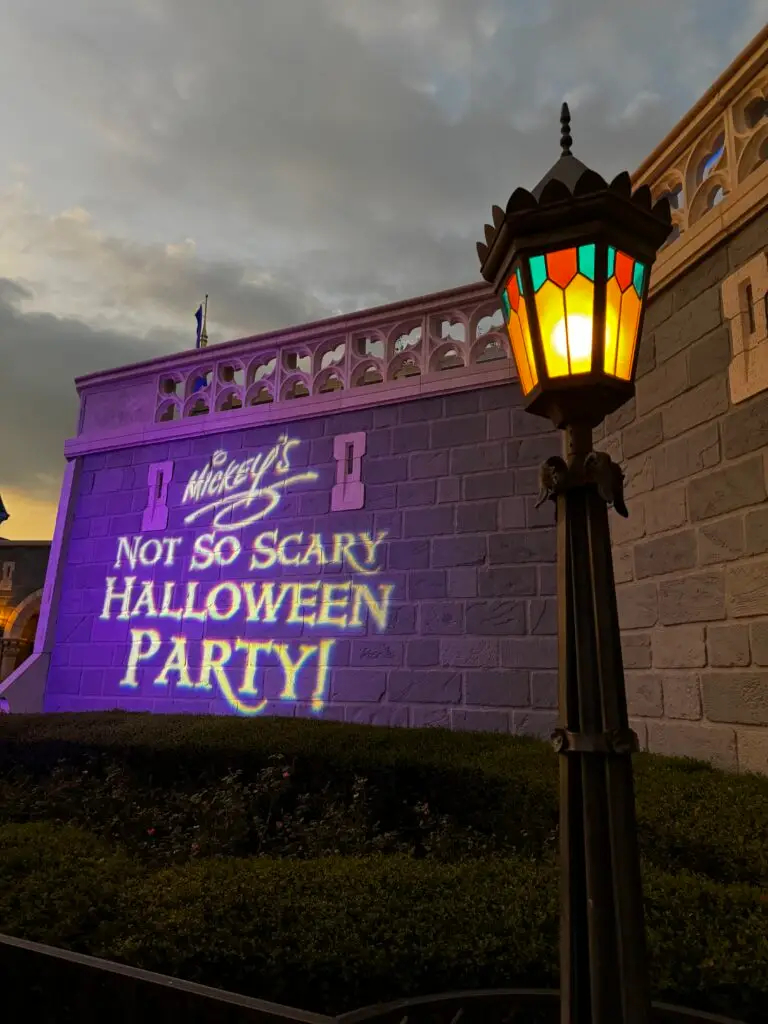 twc-mnsshp-b3-800x1067