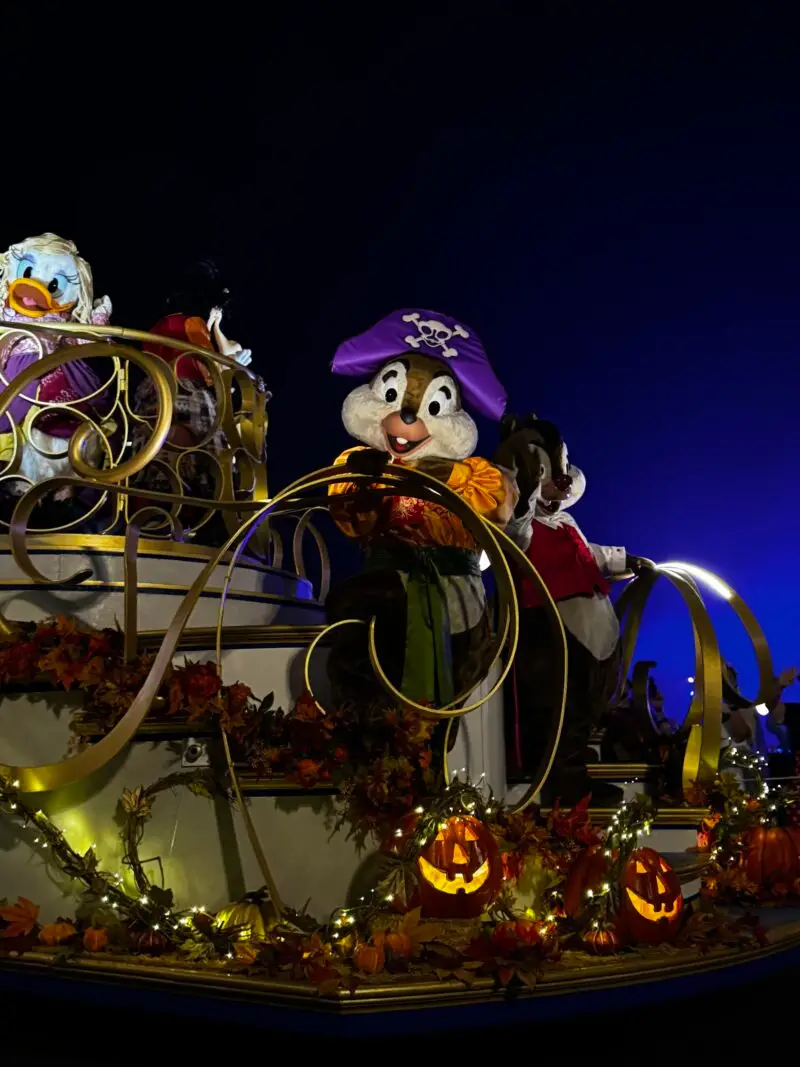 twc-mnsshp-hl4-800x1067
