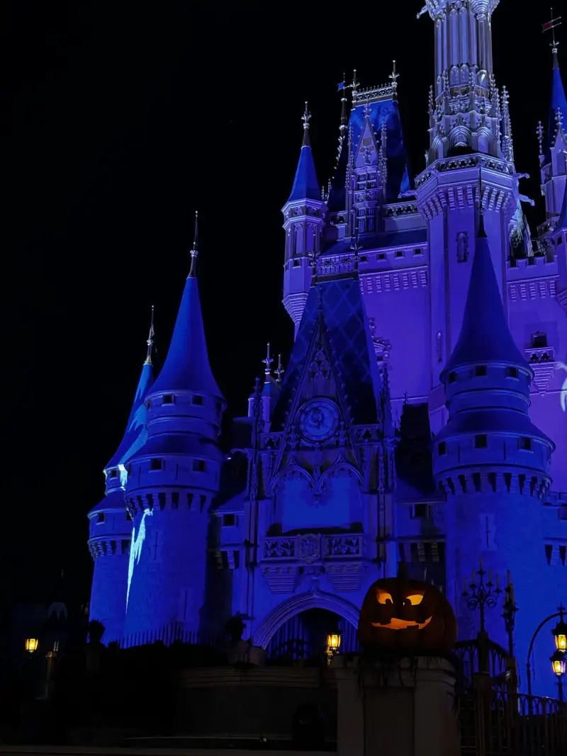 twc-mnsshp-end5-800x1067
