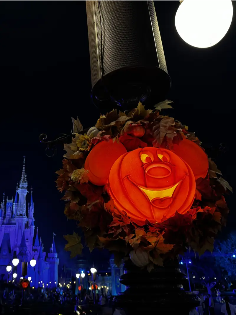 twc-mnsshp-end6-822x1067