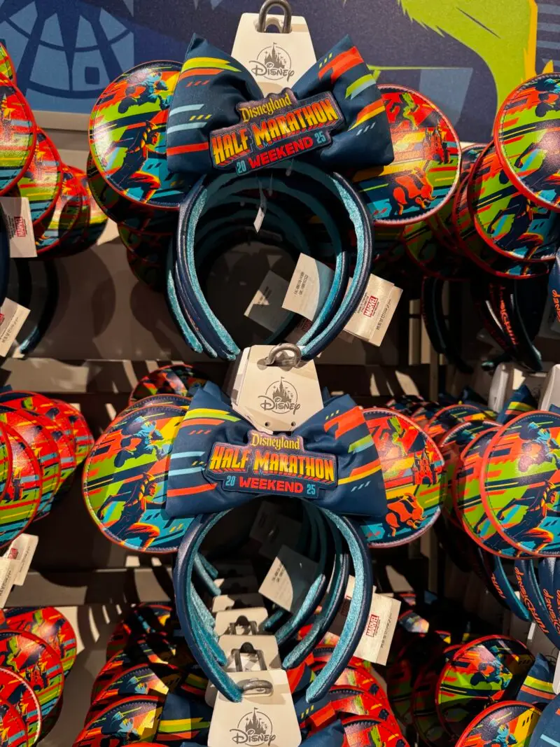 Prerace-run-disneyland- 2025