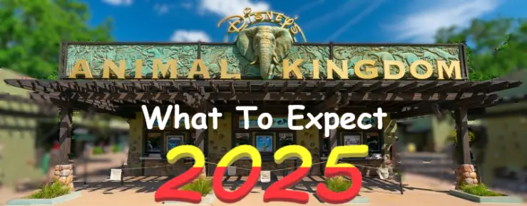 TWC- WDW Animal Kingdom-2025