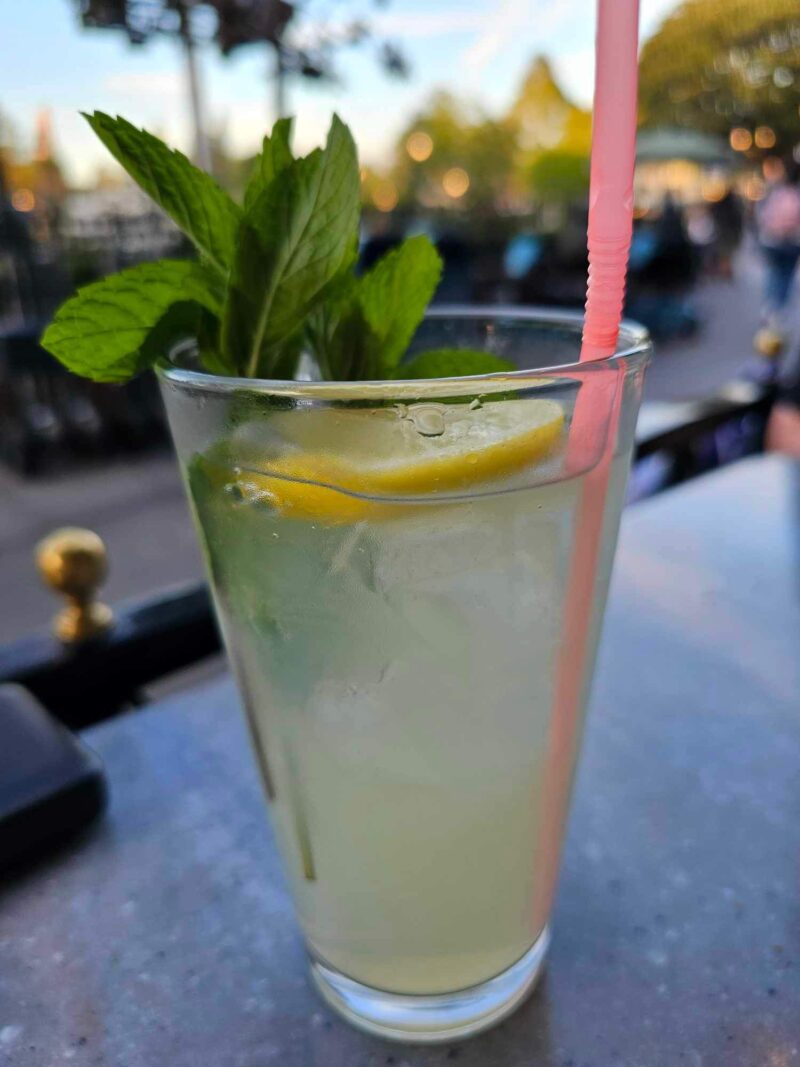 Travel with Carie - Summer Tips -Lemonade