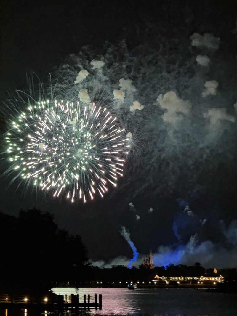 Travel with Carie - Firework viewing at Walt Disney World 2